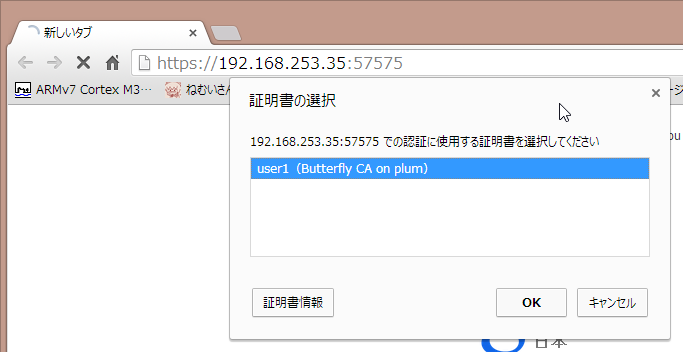 chrome_butterfly_00.png